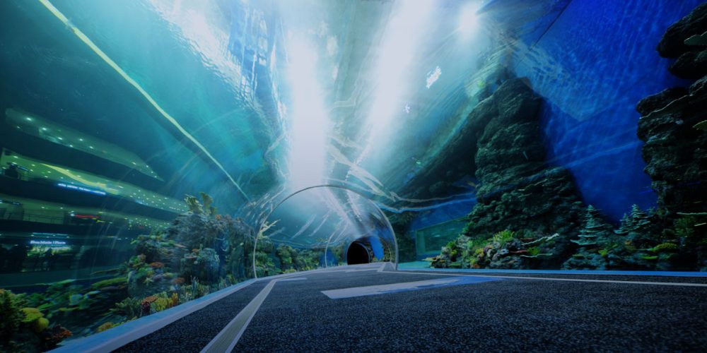 Akryl Revamp Oceanariums: Kinas djuphavstekniska innovationer
