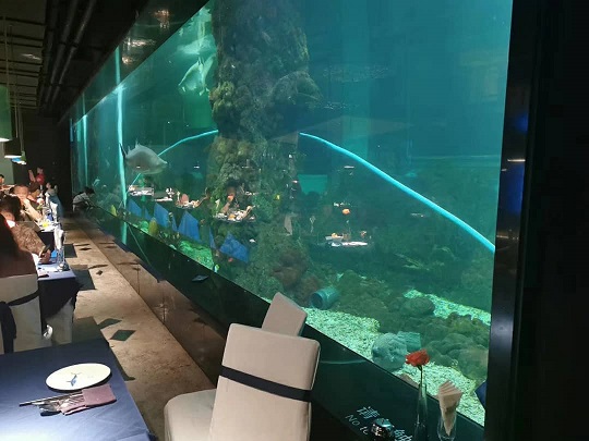 Crafting Aquatic Artistry: Immerpive Acrylic Fish Tank Panorama för tema restauranger