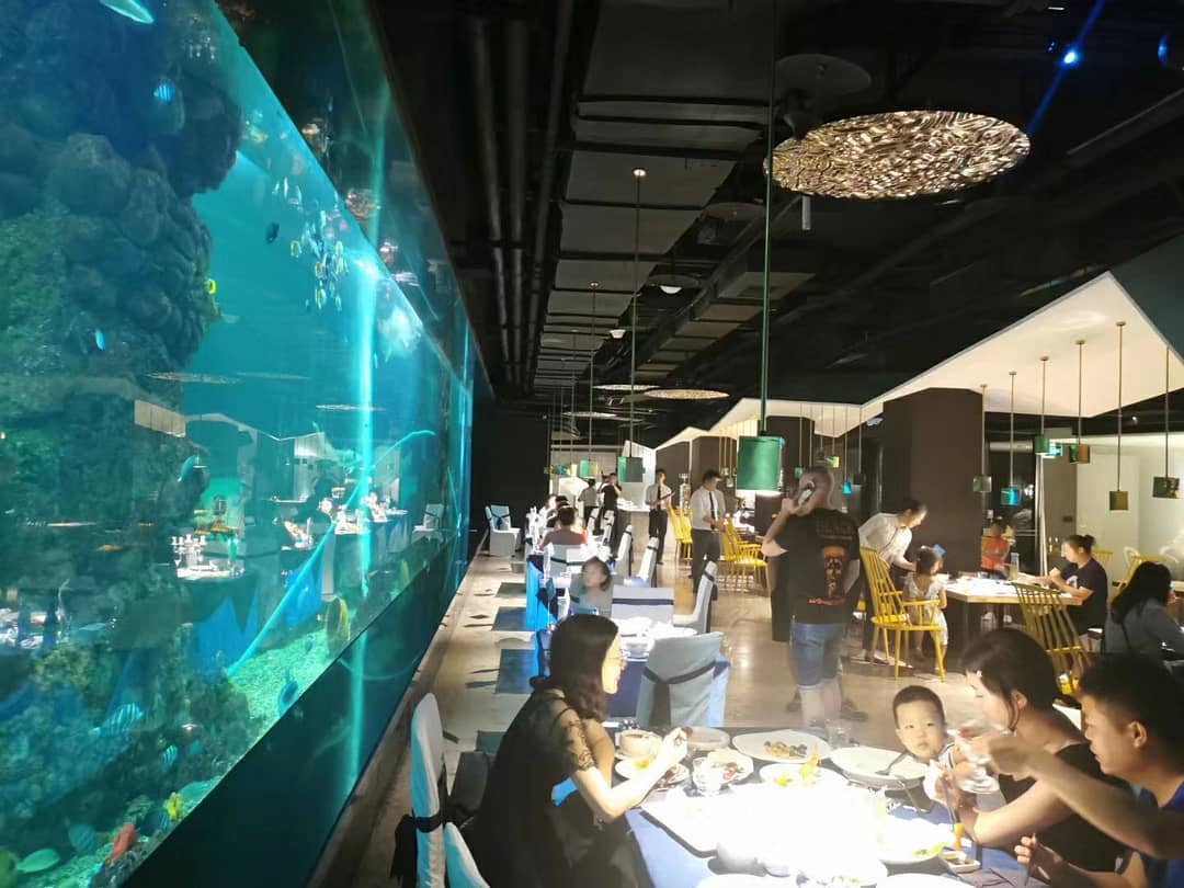Akryl Aquatic Restaurant: En transparent dialog mellan djuphavssteknik och ekologi